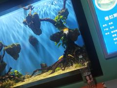 -海合安武汉极地海洋公园
