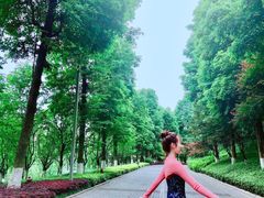 -龙头寺公园