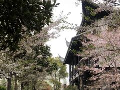 -上海皇廷花园酒店·御宴中餐厅