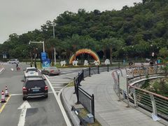 -野狸岛