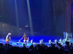 -珠海横琴长隆《卡卡虎奇遇记》