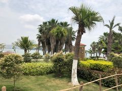 -鼓浪屿内厝澳码头(轮渡站)