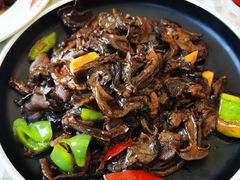 -京北渔家傲