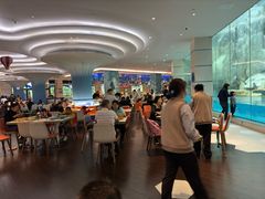 -帝企鹅自助餐厅•儿童岛•真企鹅(长隆企鹅酒店)