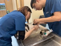 -萌兽医馆·犬猫专科·眼科中心·宠物医院(朝阳门分院)