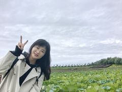 -六鼎山文化旅游区