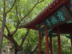 -千佛山风景名胜区