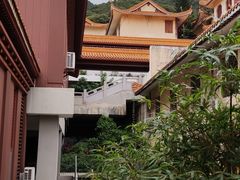 -深圳仙湖植物园