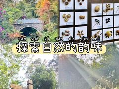 -南宁良凤江国家森林公园