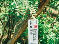 -翠湖国家城市湿地公园