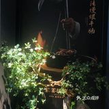 最不喜欢烧鸡的我居然想再来一份？👉🏻美好食光·湖南招牌菜