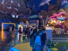 -烟台海昌鲸鲨海洋公园