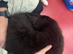 -和它·交个朋友·狗咖猫咖(爱琴海店)