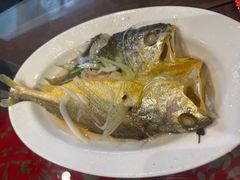 -鱼满舱·鲜活海鲜·正宗鲁菜