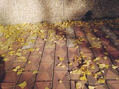 -辽宁大学(崇山校区)