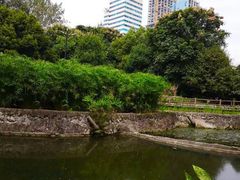-成都市活水公园
