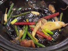 -永記粤菜·五指毛桃花雕鸡煲(九亭店)