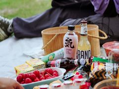 -两河城市森林公园