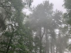 -綦江古剑山