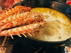 -鲜入围煮花胶鸡海鲜火锅