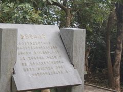 -大屏嶂森林公园