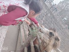 -昆明动物园