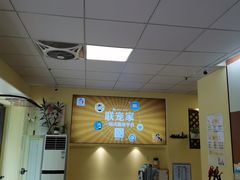 -派联宠物医院·24h·CT·异宠