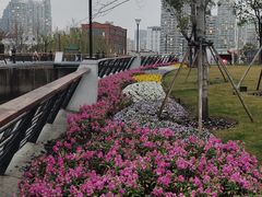 -北外滩滨江绿地