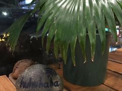 餐具摆设-Rainforest