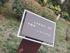 -莲湖公园