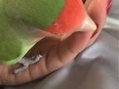 -TINY