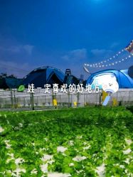点击看大图 -麦粒鸟亲子游