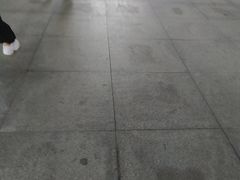 -惠东南站
