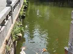 -苏州文庙(姑苏区)