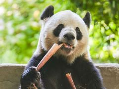 -常州淹城野生动物世界