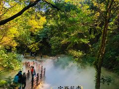 -北京西山国家森林公园