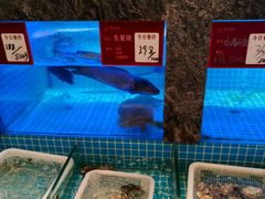 -潮州府·潮菜·砂锅粥(徐家汇店)