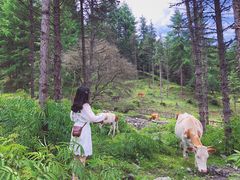 -硗碛藏寨·神木垒景区