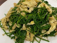沙葱炒鸡蛋-壹阁胡羊焖饼(特色小吃街店)