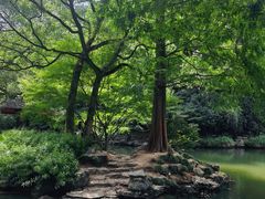 -杭州植物园