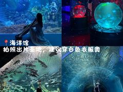 -波塞冬海底世界