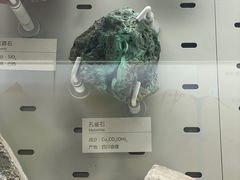 -浙江自然博物院(杭州馆)