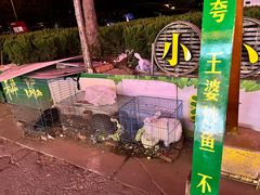 -王婆炒鱼(总店)