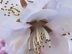 -好伦哥(温都水城店)