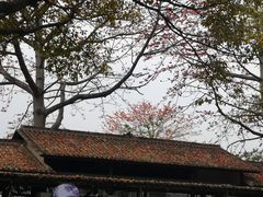 -喜洲吧·江畔老船厂·庭院餐厅(喜临院店)
