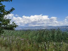 -洱海月湿地公园