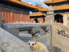 -历代帝王庙博物馆