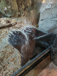 -酷嗒动物文化乐园(cutezoo西溪乐天城店)