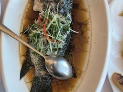 -骏莱海鲜鱼港(五角场店)