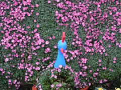 -共青国家森林公园-售票处